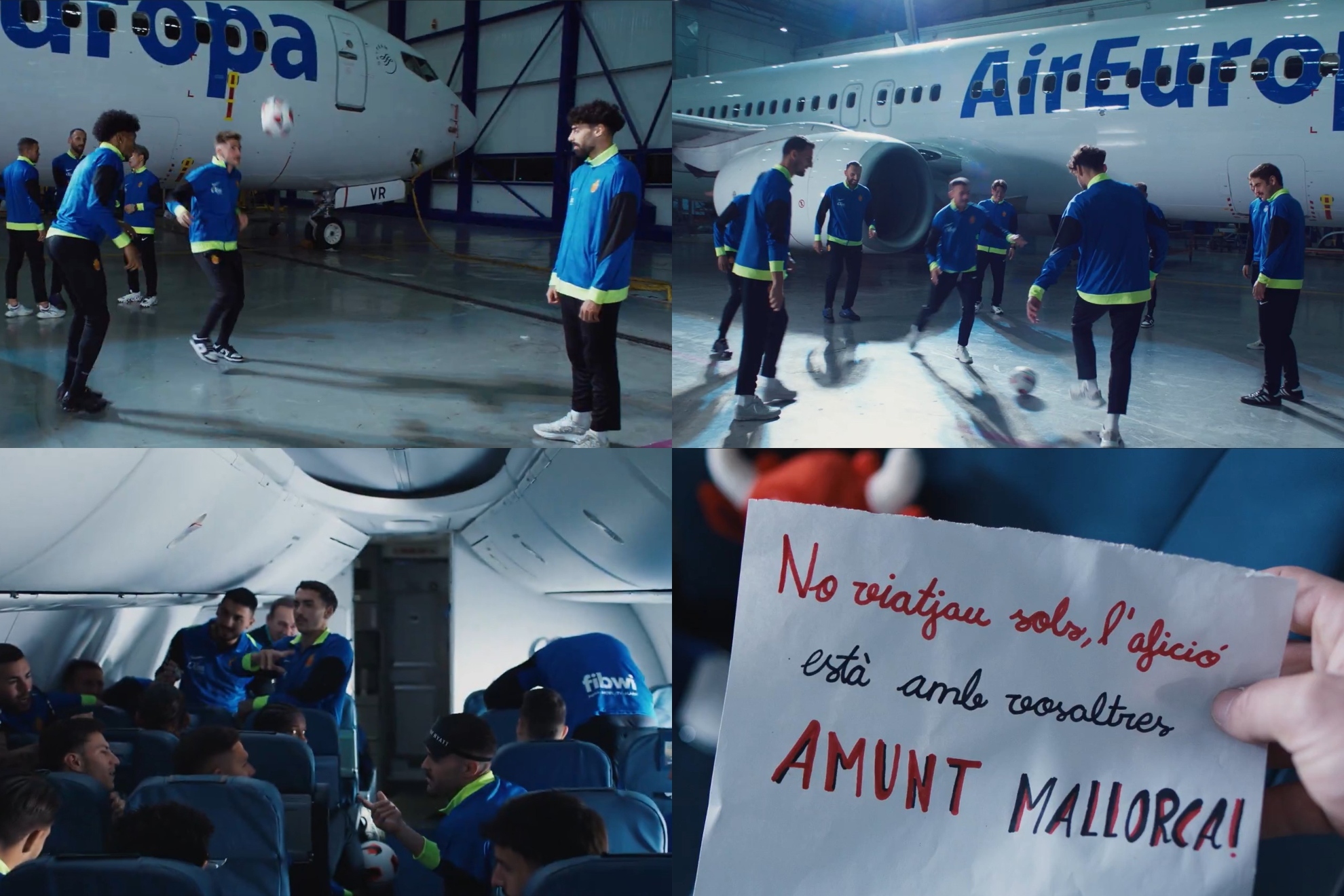 竞争的多样 竞争的多样